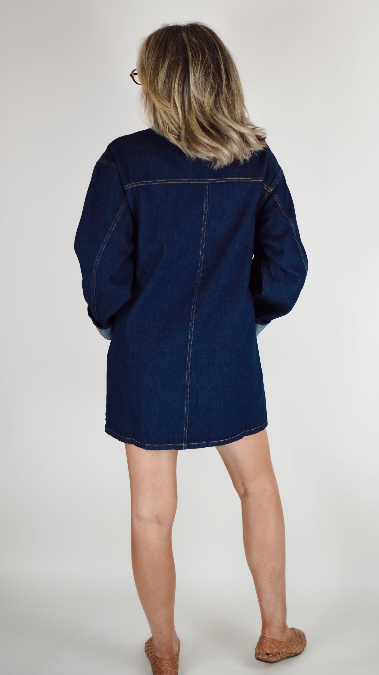 Brittany Denim Button Down Dress