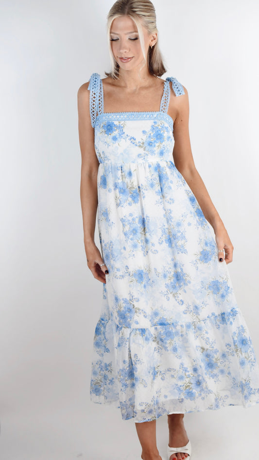 Frances Blue Maxi