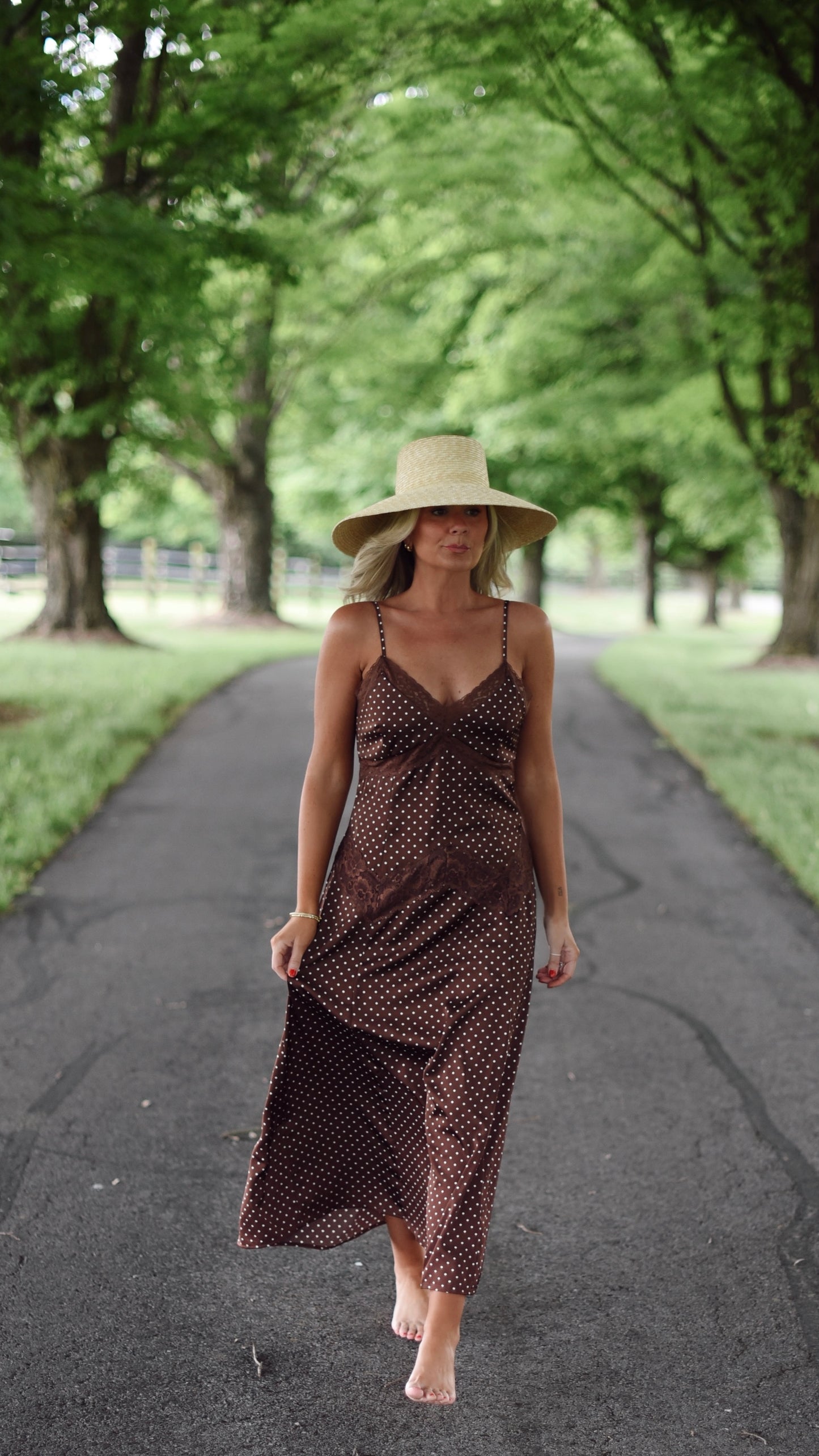 Malissa Brown Maxi Dress