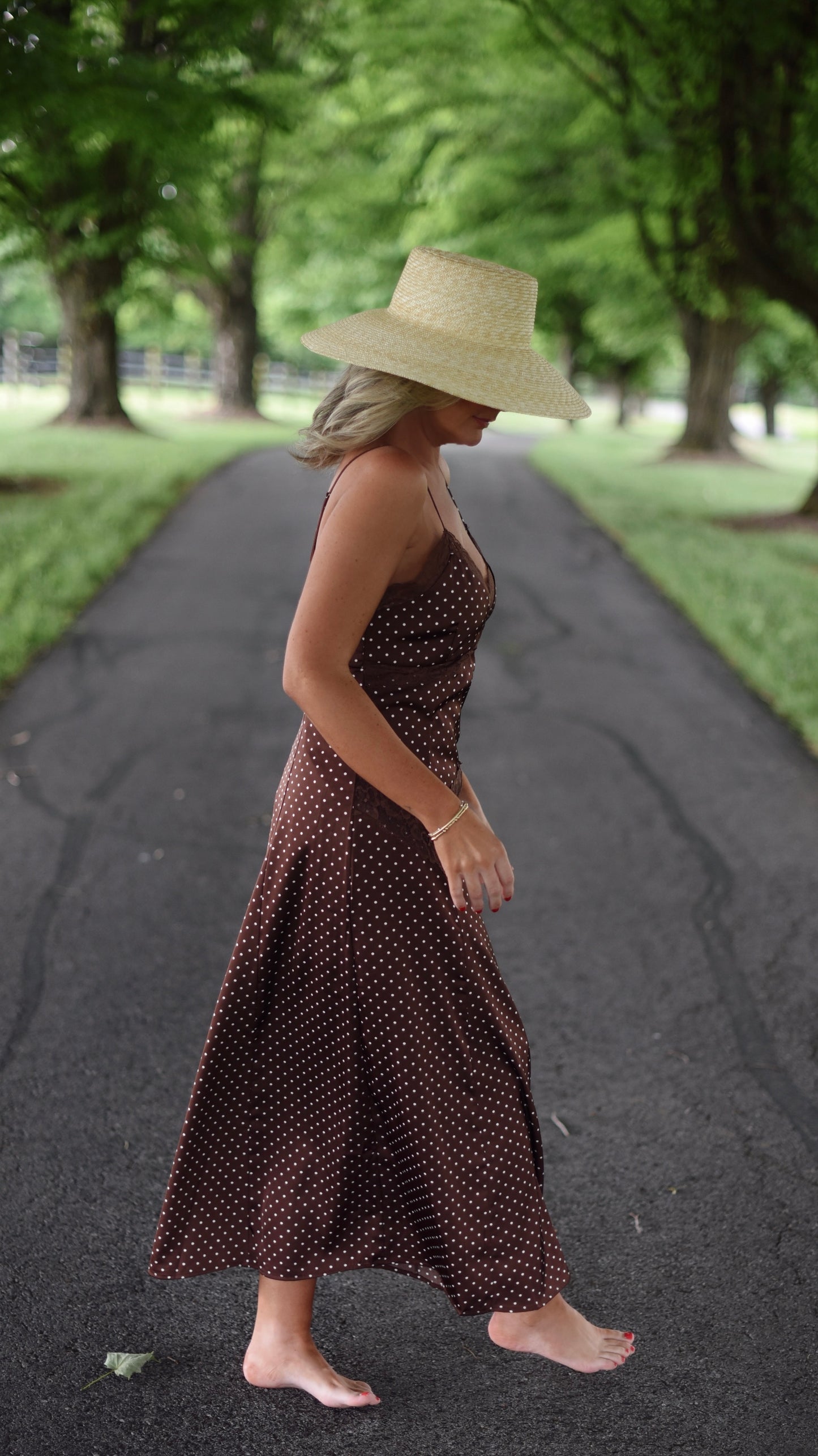 Malissa Brown Maxi Dress