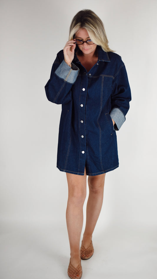 Brittany Denim Button Down Dress