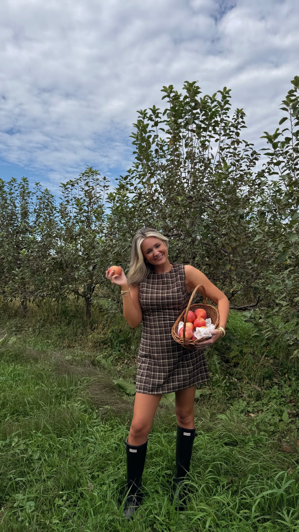 Penelope Brown Plaid Mini Dress