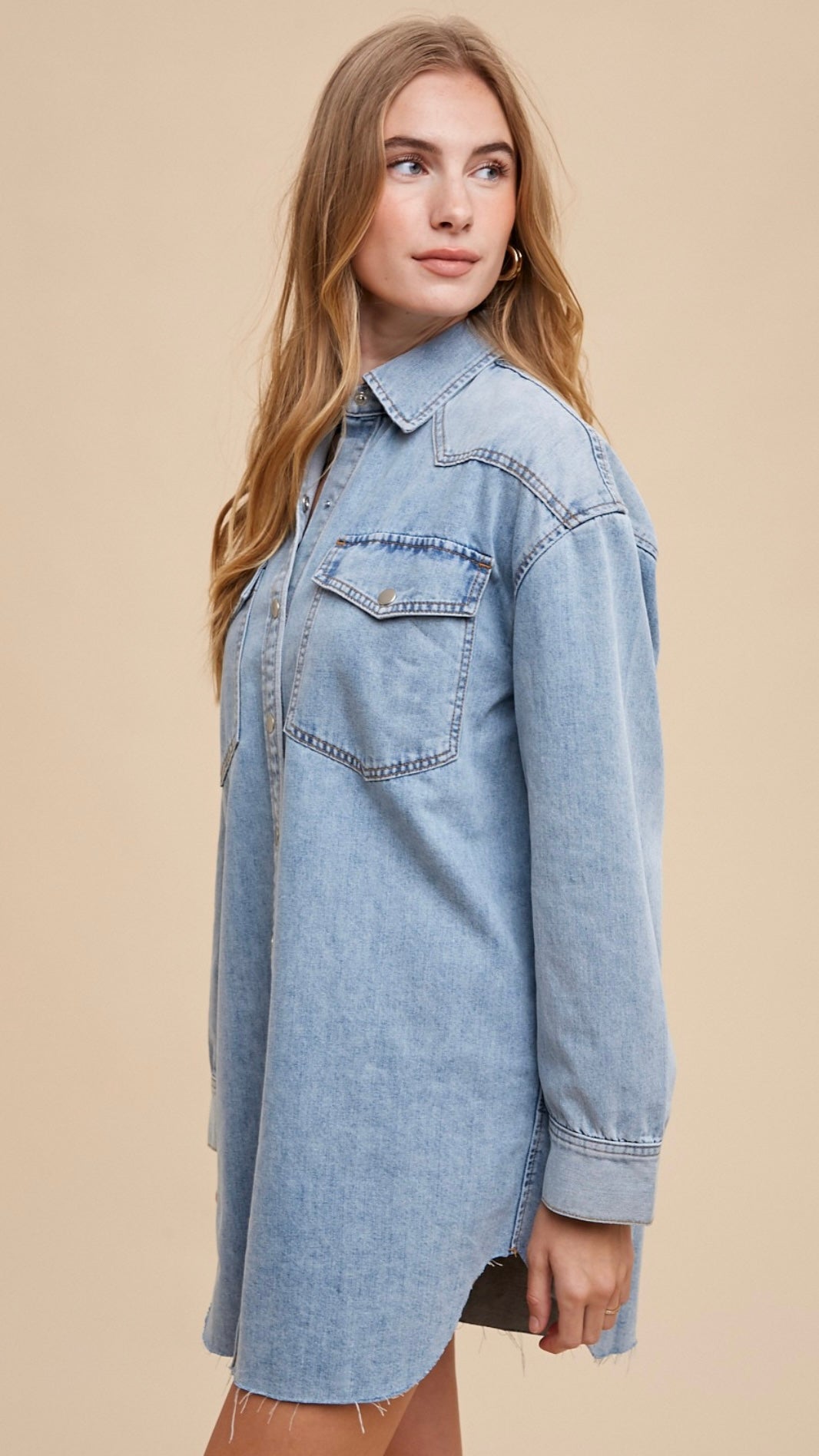 Annnalise Denim Shirt Dress